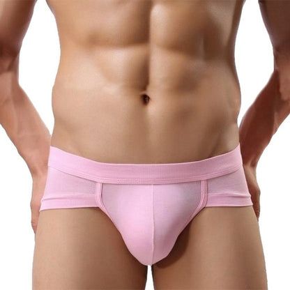 2020 Brand Underwear Mesh Qucik Dry Sexy Men Modal Briefs Breathable
