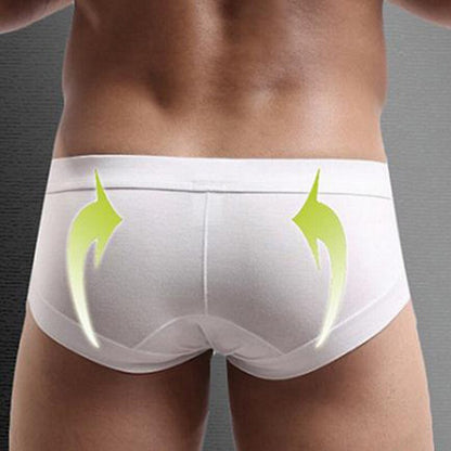 2020 Brand Underwear Mesh Qucik Dry Sexy Men Modal Briefs Breathable