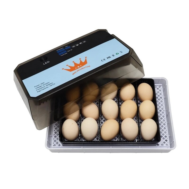 Automatic Mini Egg Incubator Brooder Intelligent Digital Egg Turning