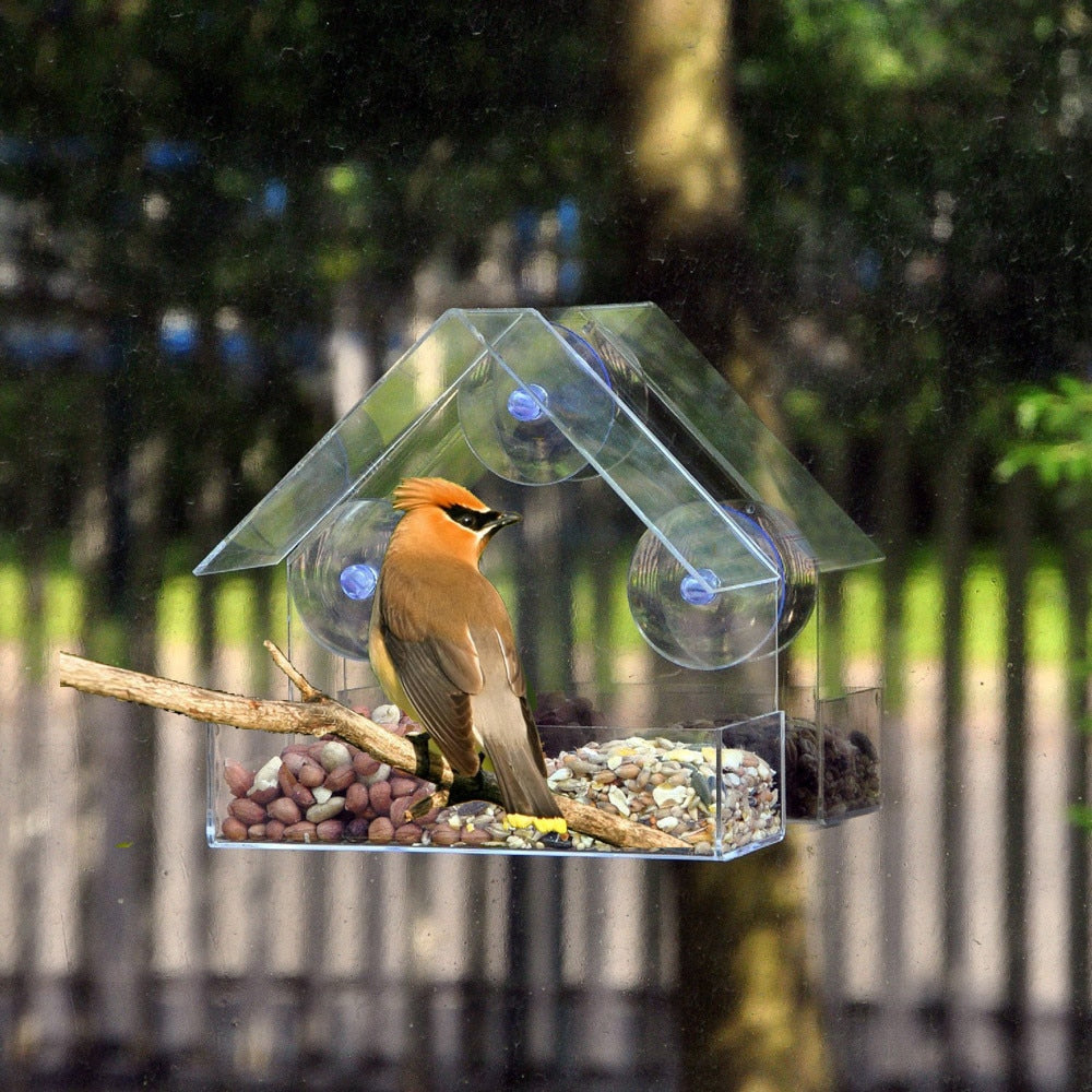 Bird Feeder Acrylic Transparent Window Viewing Bird Feeders Tray